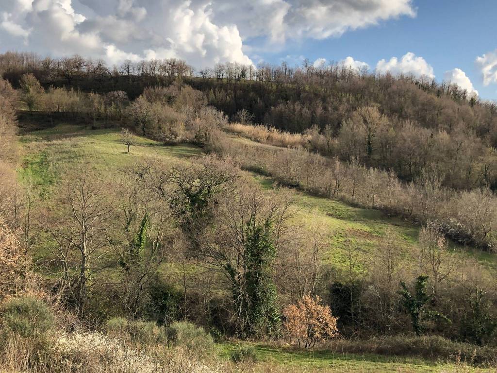 Terreno a Sorano in La Dispensa - Foto 3