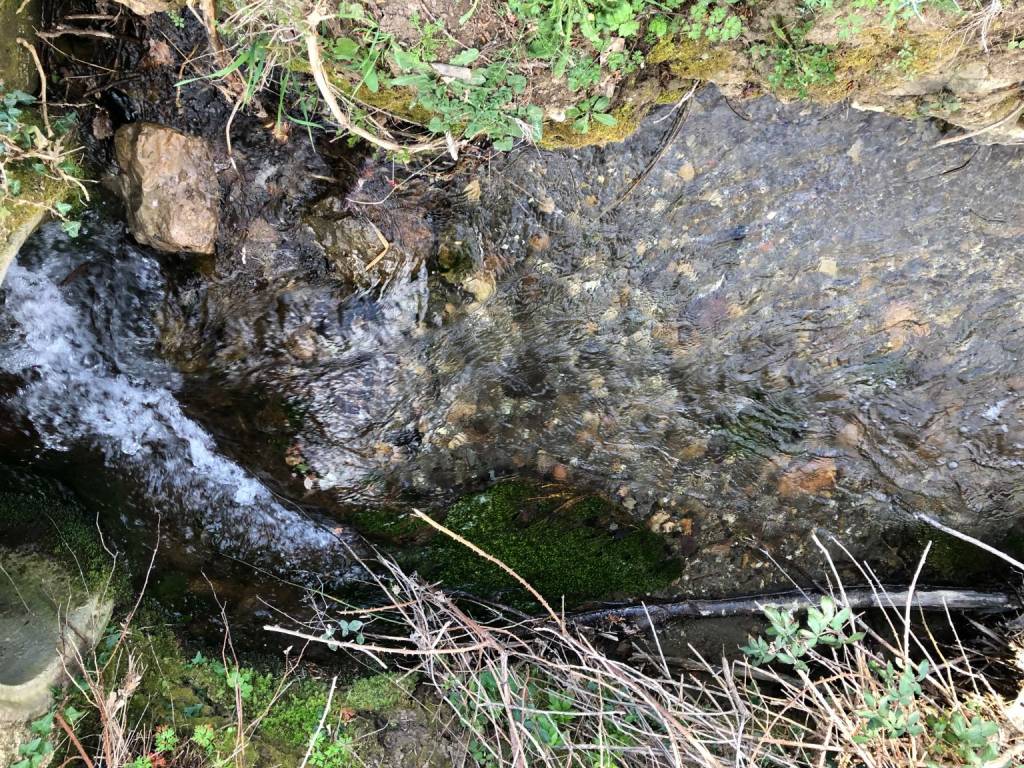 Terreno a Sorano in La Dispensa - Foto 4