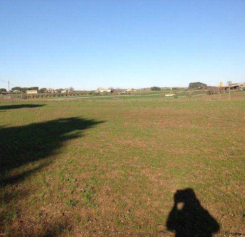 Terreno a Anguillara sabazia - Foto 5