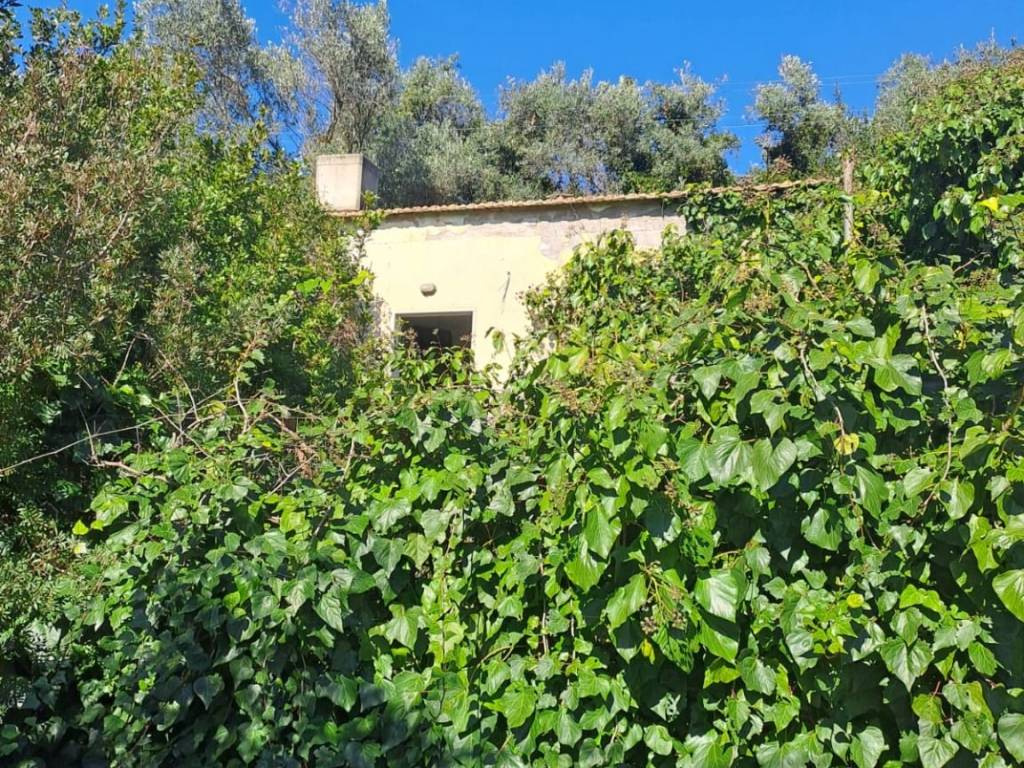 Terreno a Eboli - Foto 2