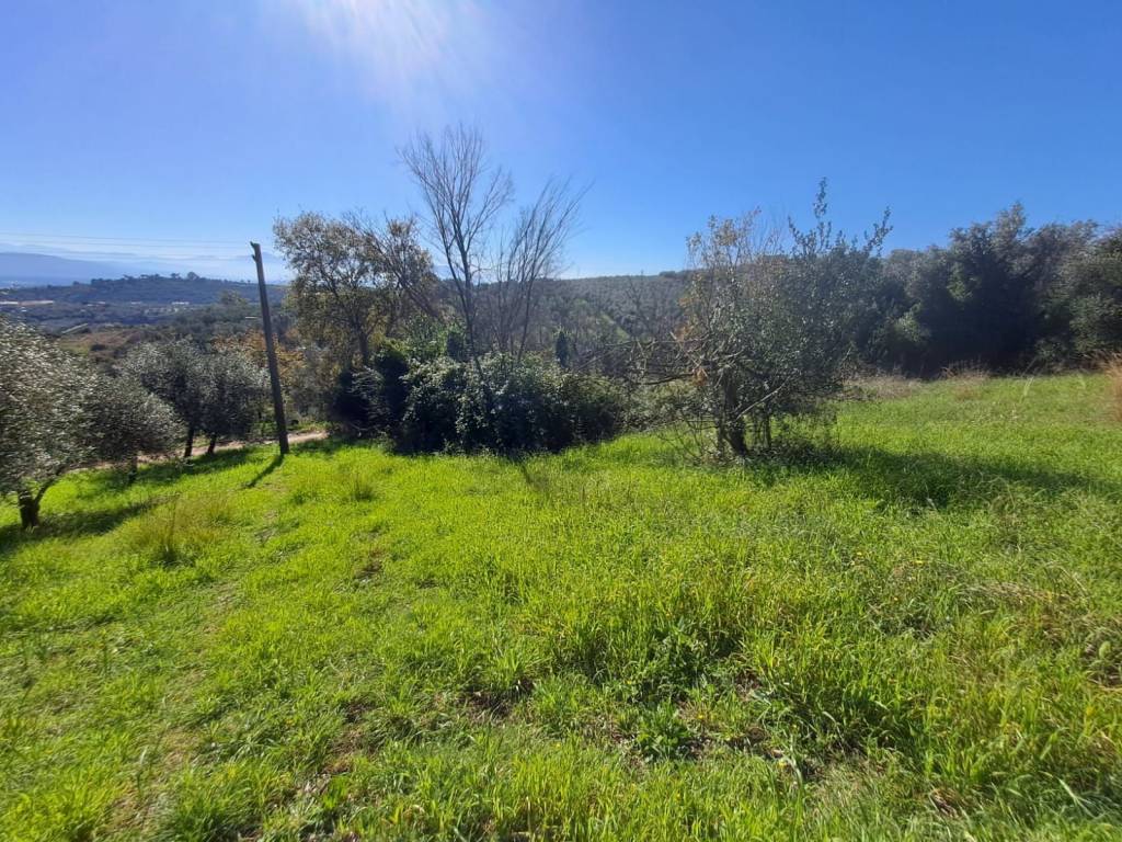 Terreno a Eboli - Foto 3