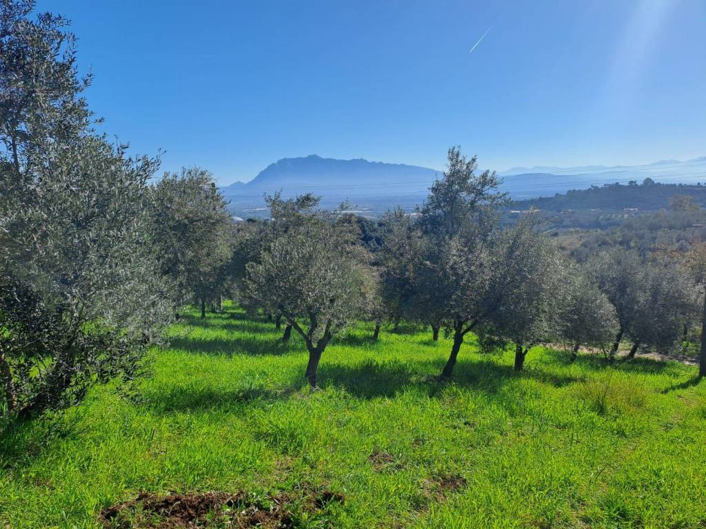 Terreno a Eboli - Foto 4