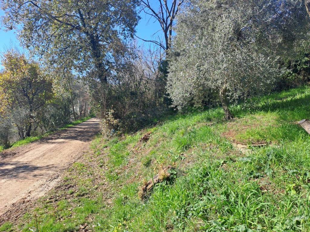 Terreno a Eboli - Foto 5