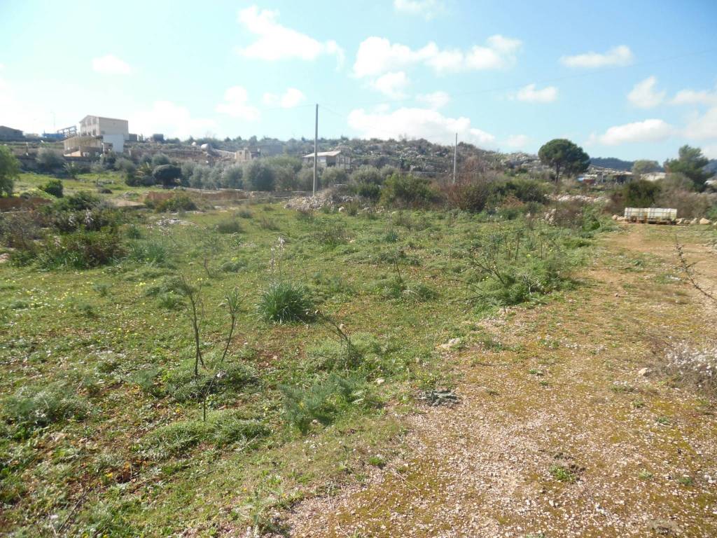 Terreno a Floridia - Foto 3