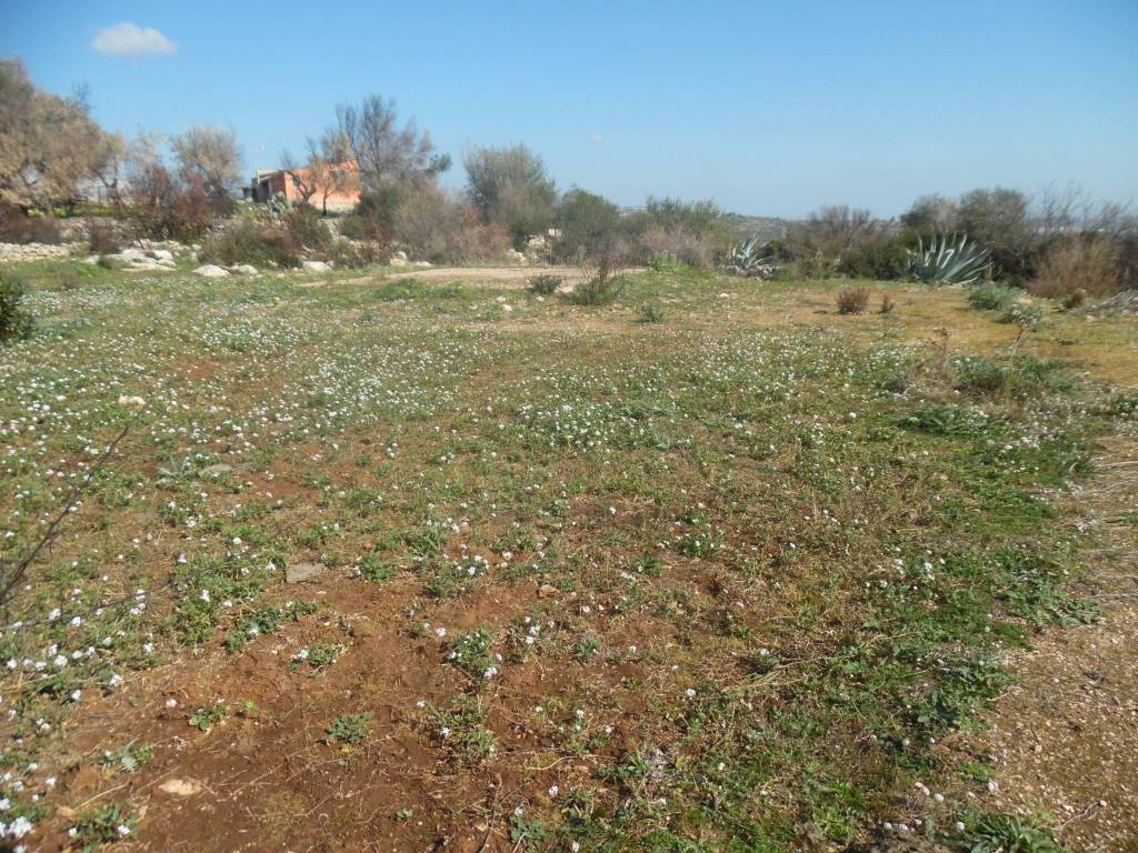 Terreno a Floridia - Foto 4