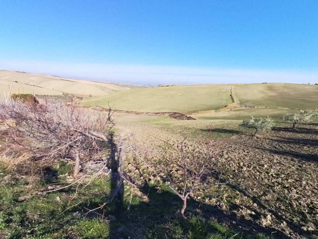 Rustico / casale a Montenero di bisaccia - Foto 2