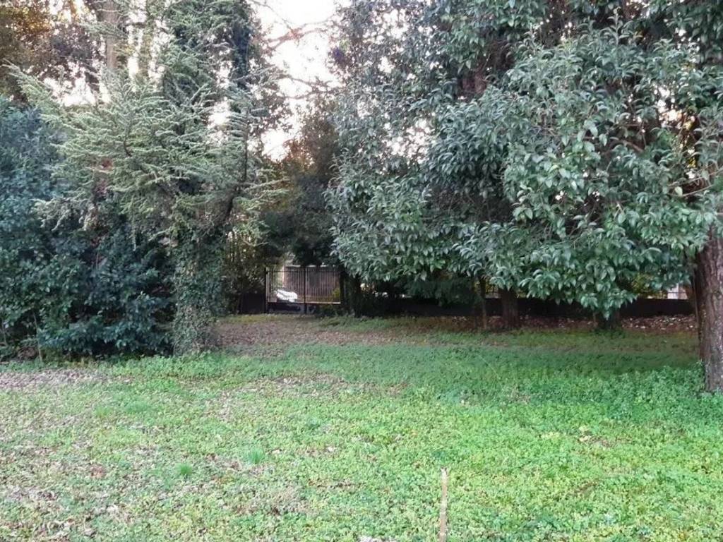 Terreno a Santa lucia di piave in Piazza 28 Ottobre 1918 - Foto 3