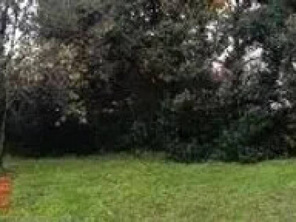 Terreno a Santa lucia di piave in Piazza 28 Ottobre 1918 - Foto 5