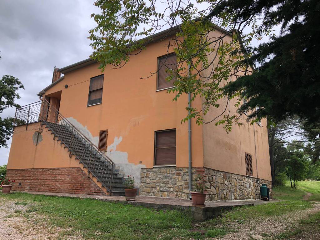 Terreno a Scansano in Strada Provinciale Scansanese - Foto 2