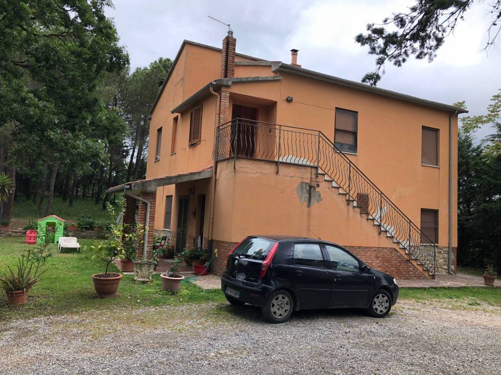 Terreno a Scansano in Strada Provinciale Scansanese - Foto 3