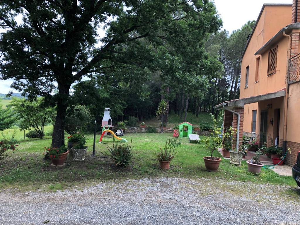 Terreno a Scansano in Strada Provinciale Scansanese - Foto 4