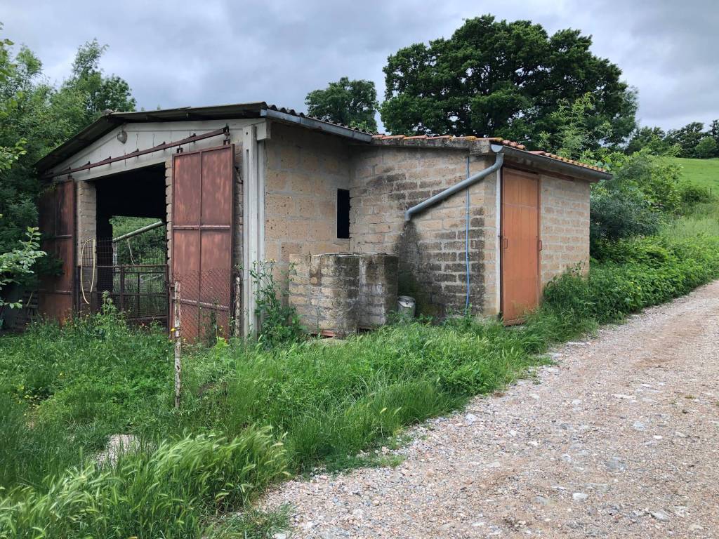 Terreno a Scansano in Strada Provinciale Scansanese - Foto 5