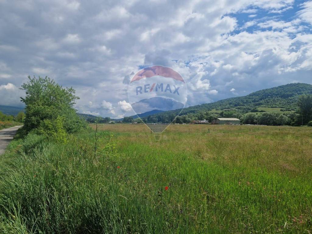 Terreno a Castel di sangro - Foto 5