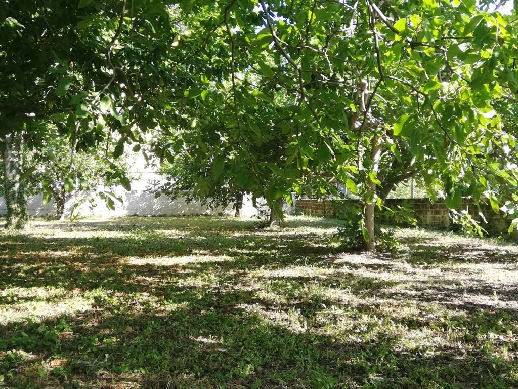 Terreno a Manoppello in Via Giuseppe Verdi - Foto 2