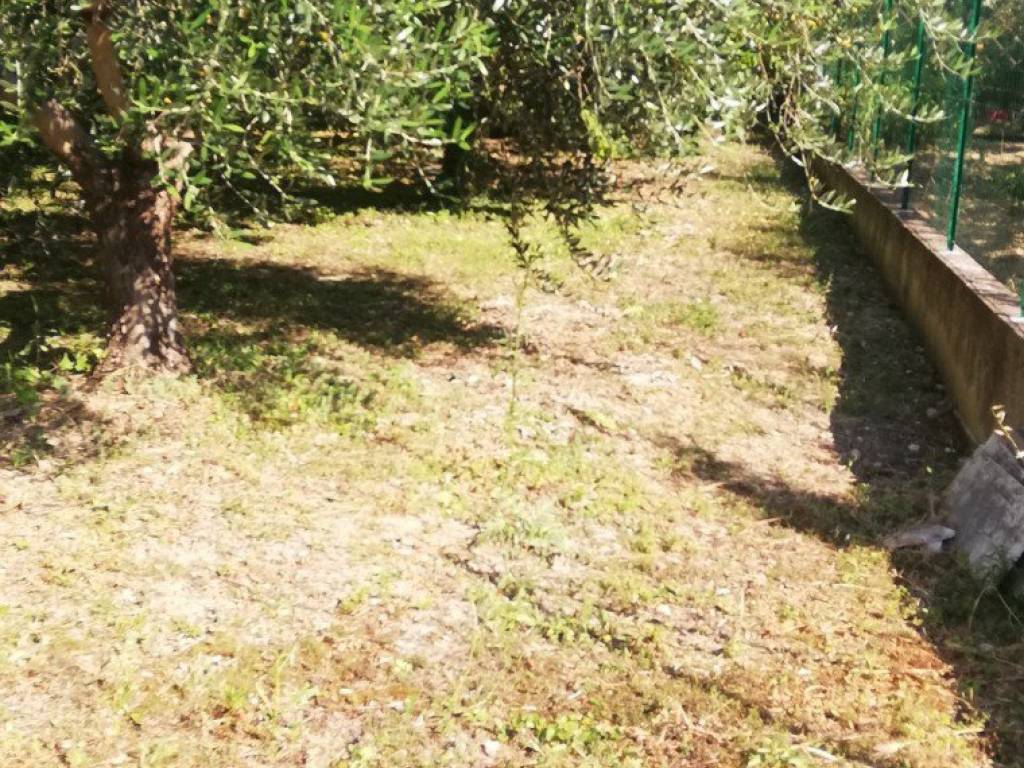 Terreno a Manoppello in Via Giuseppe Verdi - Foto 4