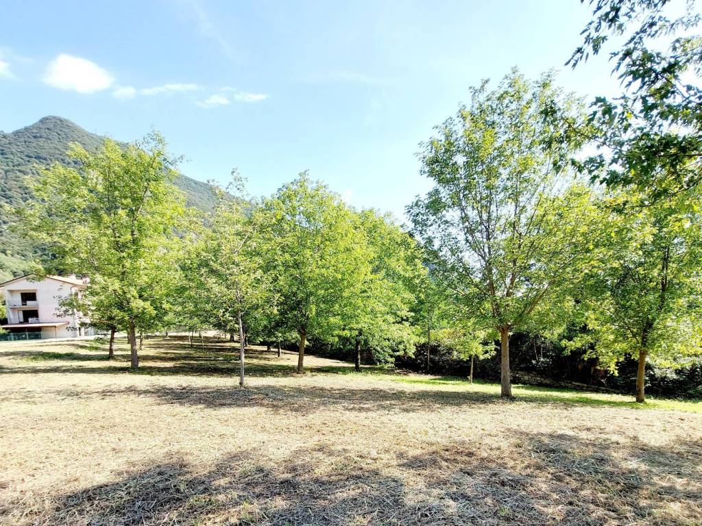 Terreno a Solagna in Via D. Zarpellon - Foto 5