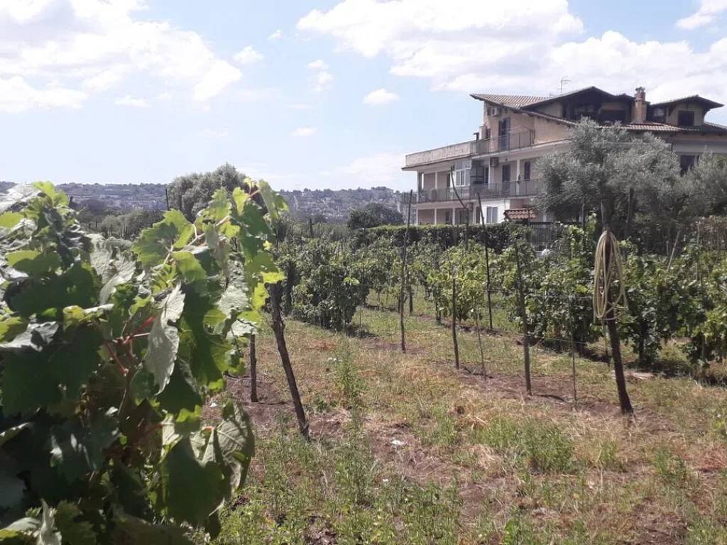 Terreno a Quarto in Via Marmolito - Foto 2