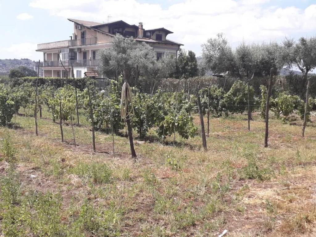 Terreno a Quarto in Via Marmolito - Foto 3