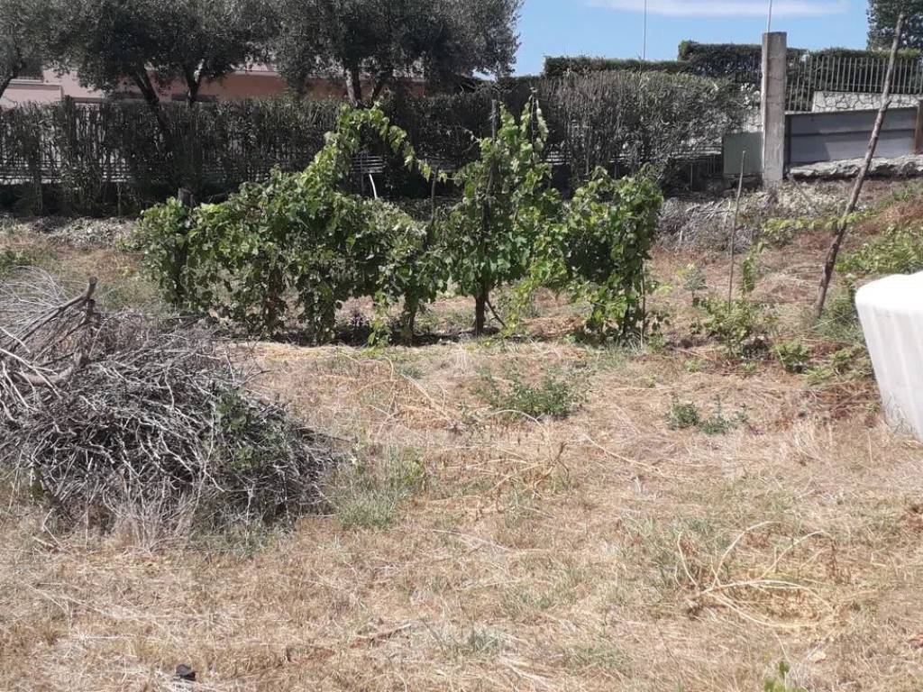 Terreno a Quarto in Via Marmolito - Foto 4