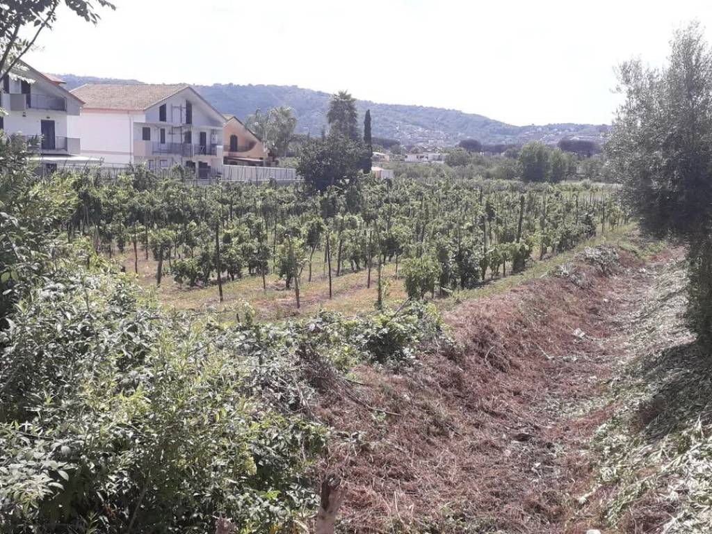 Terreno a Quarto in Via Marmolito - Foto 5