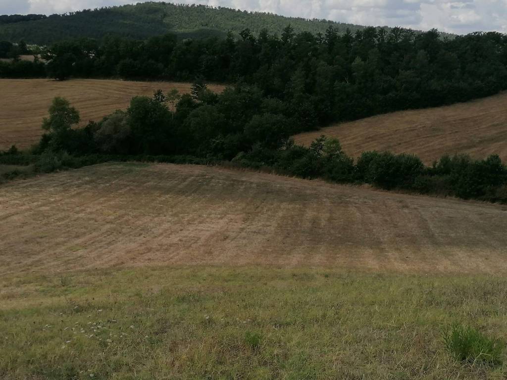 Terreno a Manciano in VIA MERCANTE - Foto 2