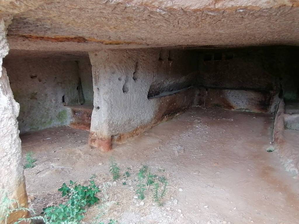 Terreno a Manciano in VIA MERCANTE - Foto 5