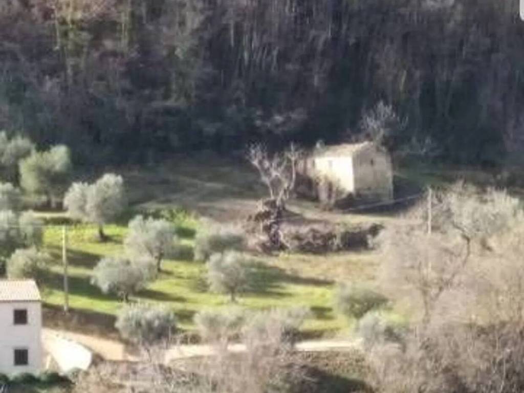 Terreno a Montefiore dell'aso - Foto 4