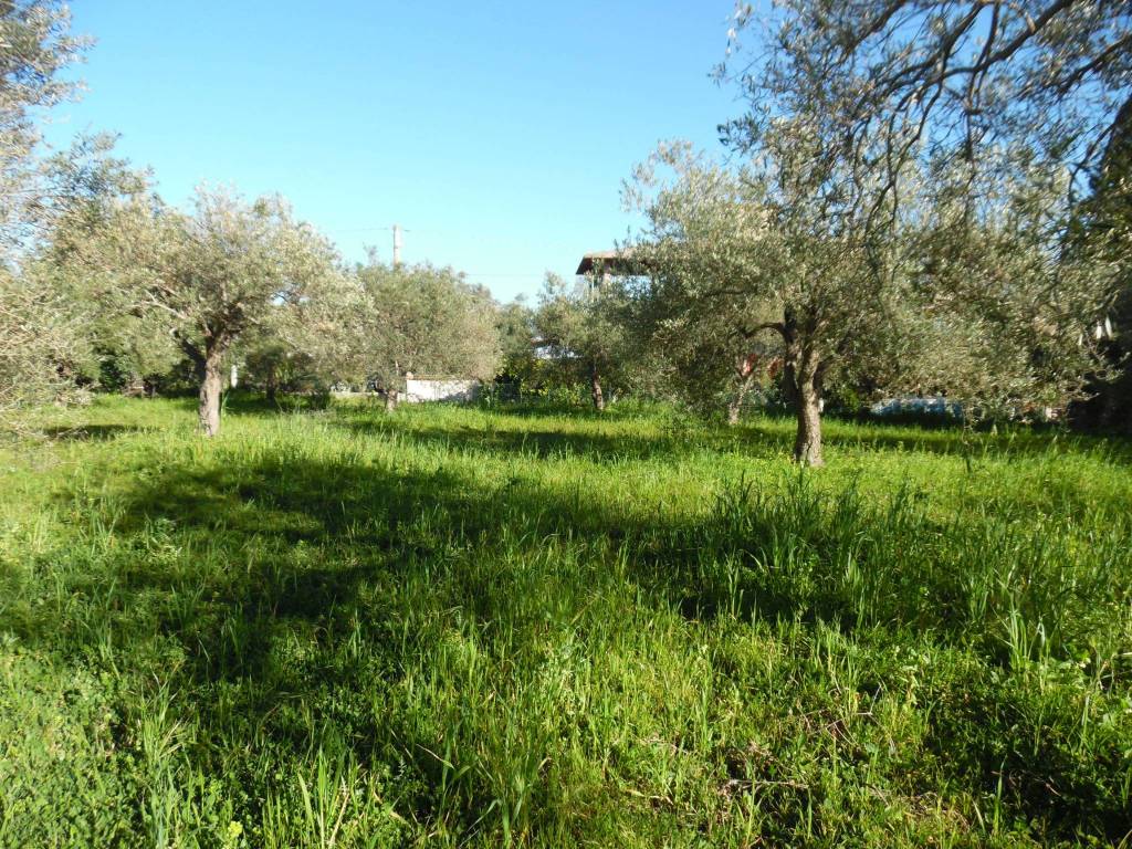 Terreno a Floridia - Foto 2