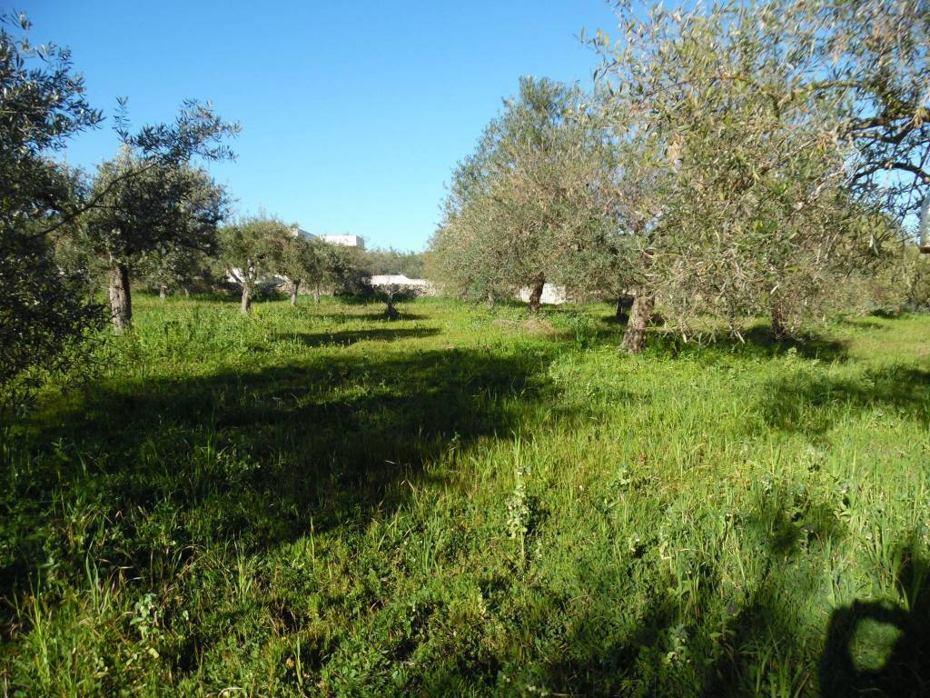 Terreno a Floridia - Foto 4