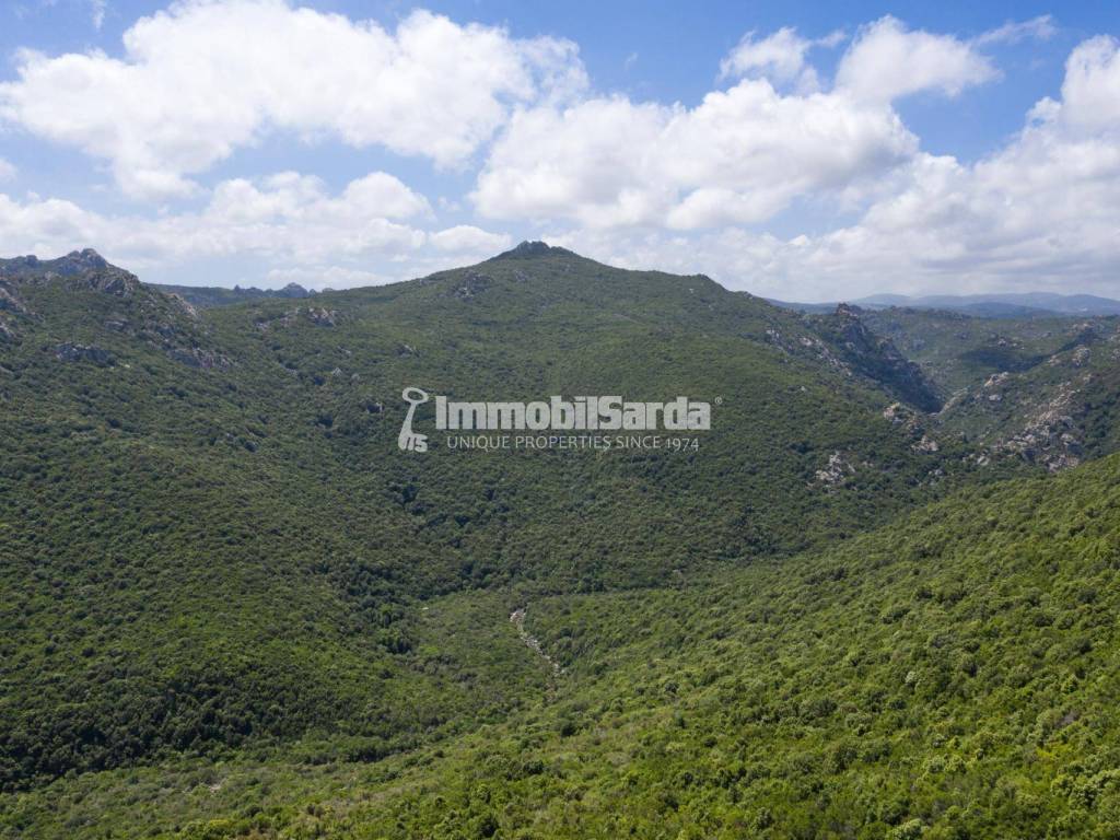 Terreno a Aglientu in Strada Castelsardo-Santa Teresa Gallura - Foto 4