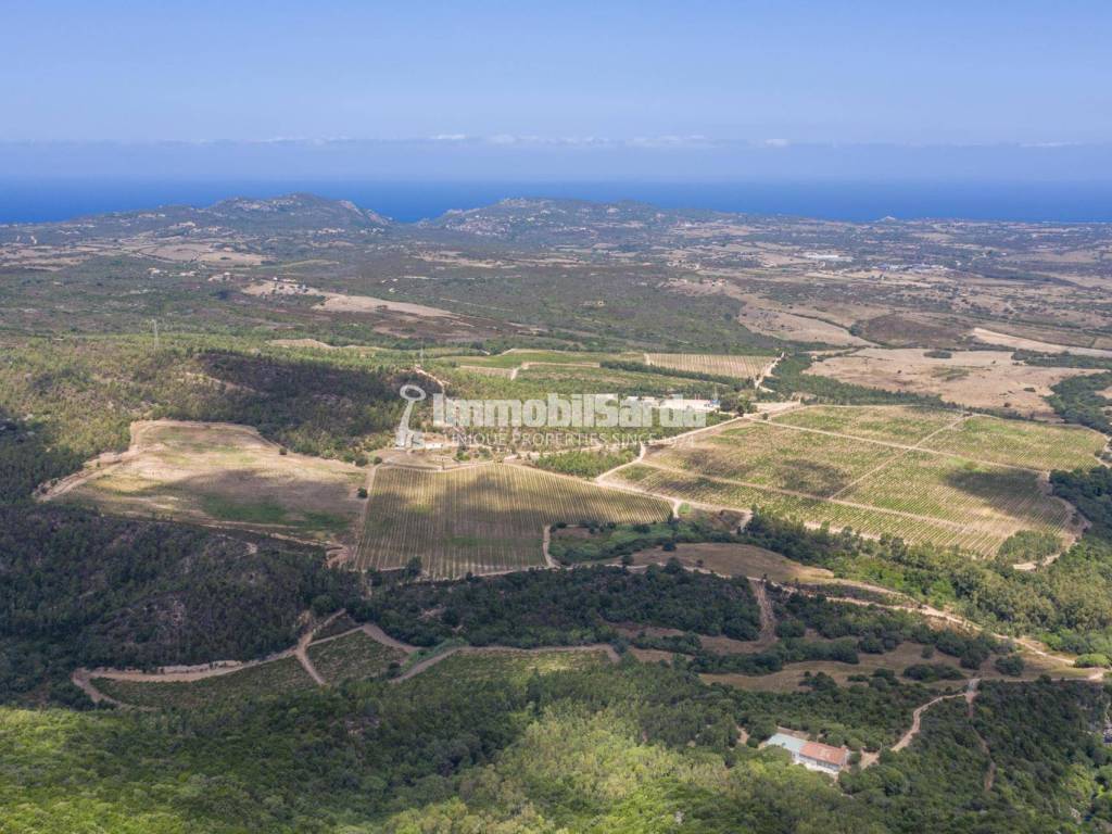 Terreno a Aglientu in Strada Castelsardo-Santa Teresa Gallura - Foto 5