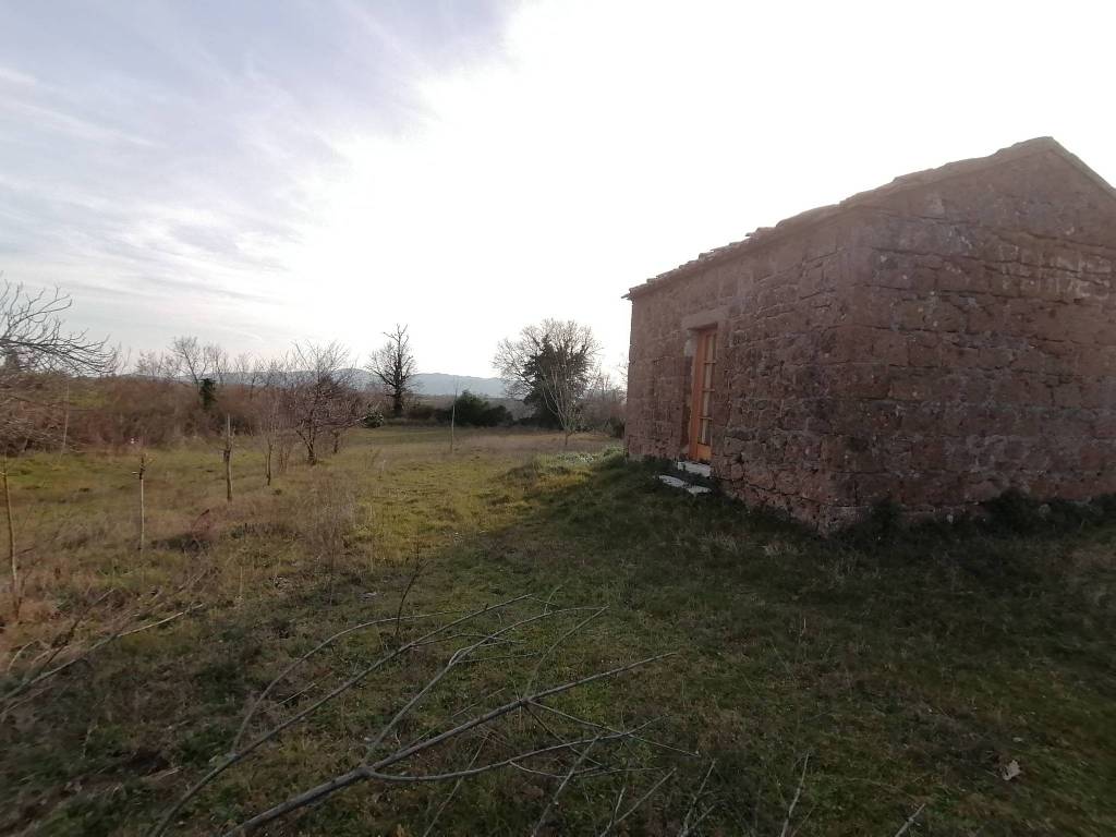 Terreno a Pitigliano in Strada Provinciale Pitigliano-Farnese - Foto 2