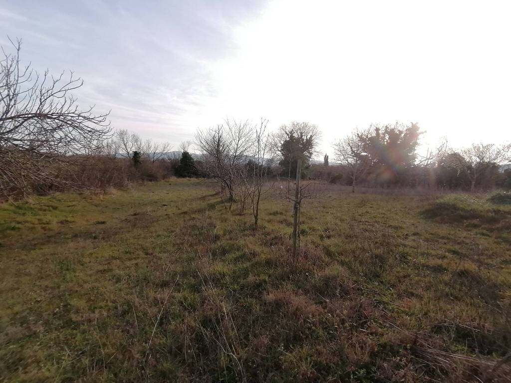 Terreno a Pitigliano in Strada Provinciale Pitigliano-Farnese - Foto 3