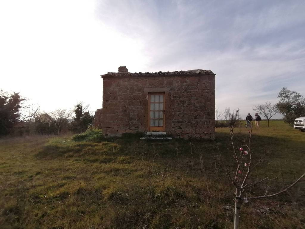 Terreno a Pitigliano in Strada Provinciale Pitigliano-Farnese - Foto 4
