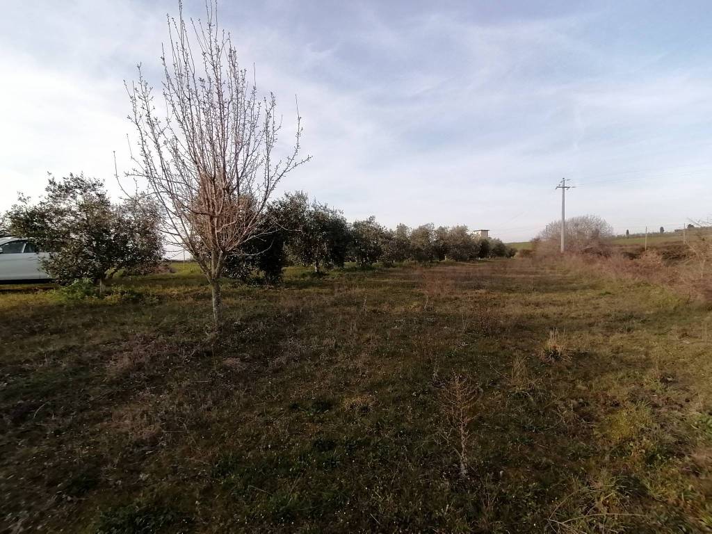 Terreno a Pitigliano in Strada Provinciale Pitigliano-Farnese - Foto 5