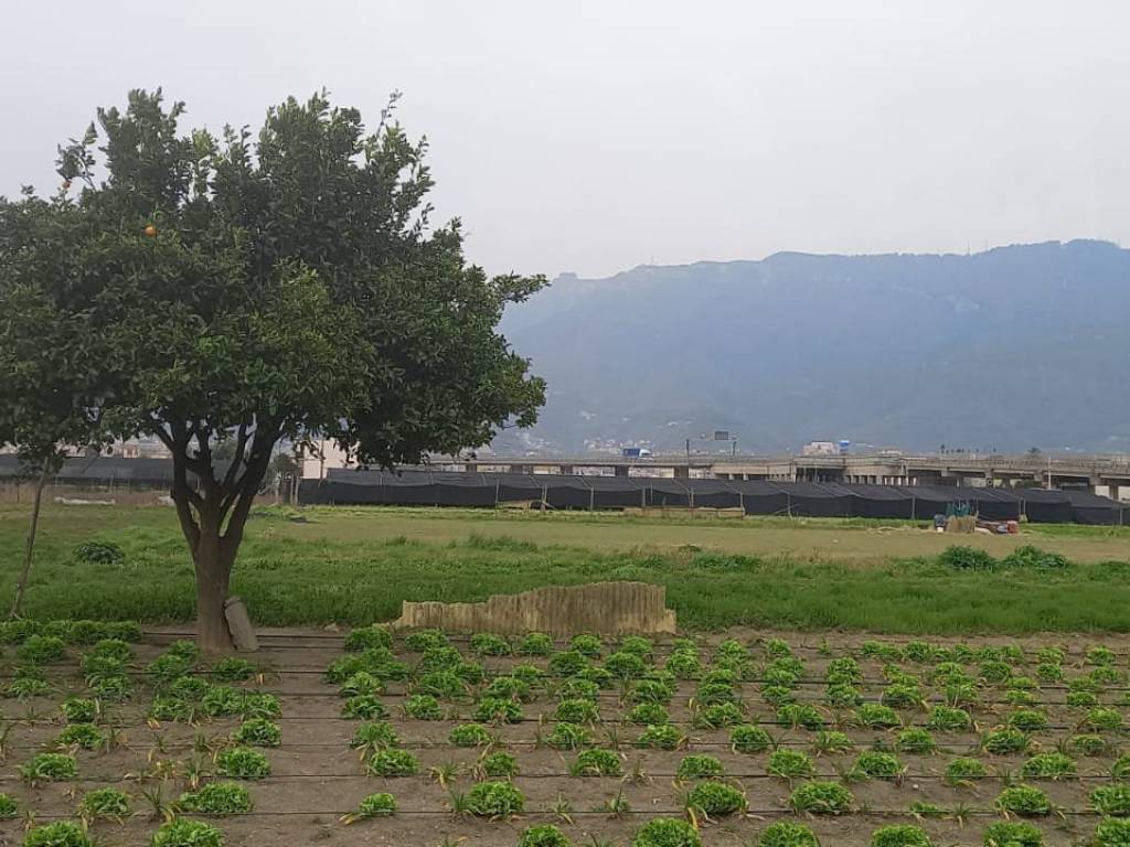 Terreno a Castellammare di stabia in Via Vecchia Fontanelle - Foto 4