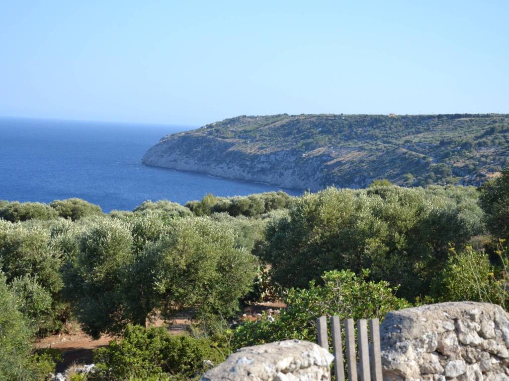 Rustico / casale a Gagliano del capo in SP195 - Foto 2