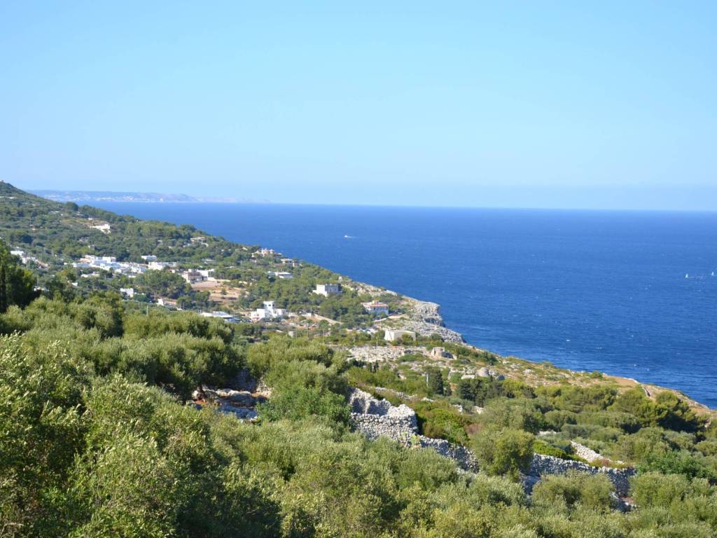 Rustico / casale a Gagliano del capo in SP195 - Foto 3