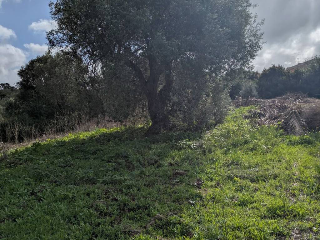 Terreno a Sassari in Strada Vicinale Mastru Santu - Foto 4