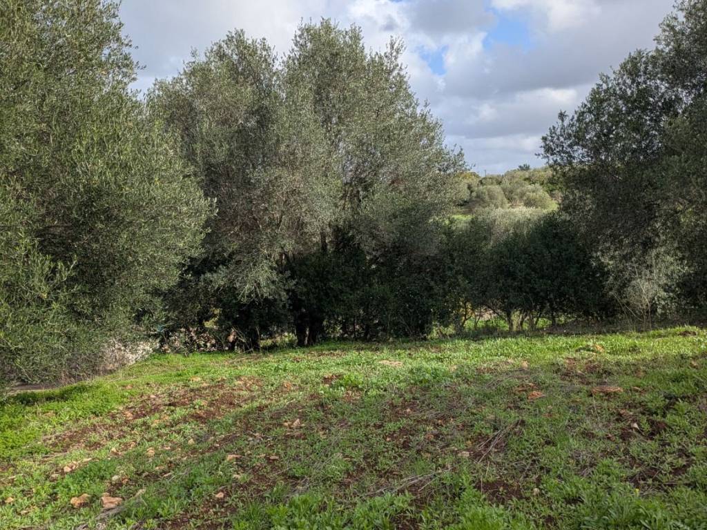 Terreno a Sassari in Strada Vicinale Mastru Santu - Foto 5