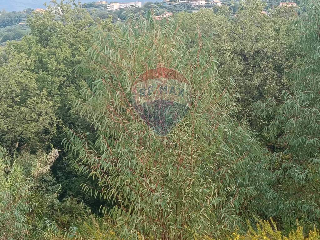 Terreno a Minturno in VIA SOLACCIANO - Foto 4