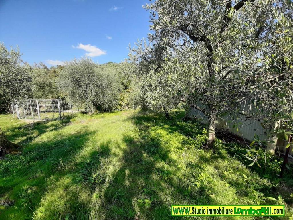 Terreno a Montemurlo in Via Bagnolo di Sopra - Foto 2