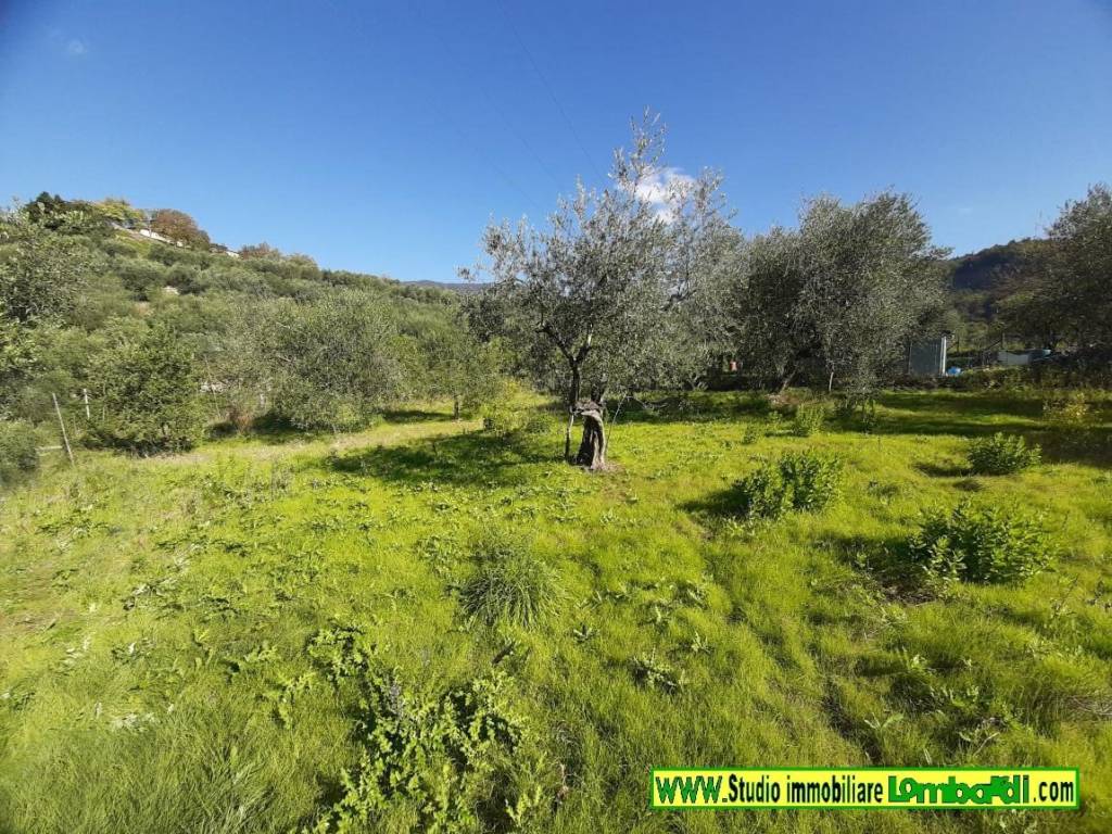 Terreno a Montemurlo in Via Bagnolo di Sopra - Foto 3