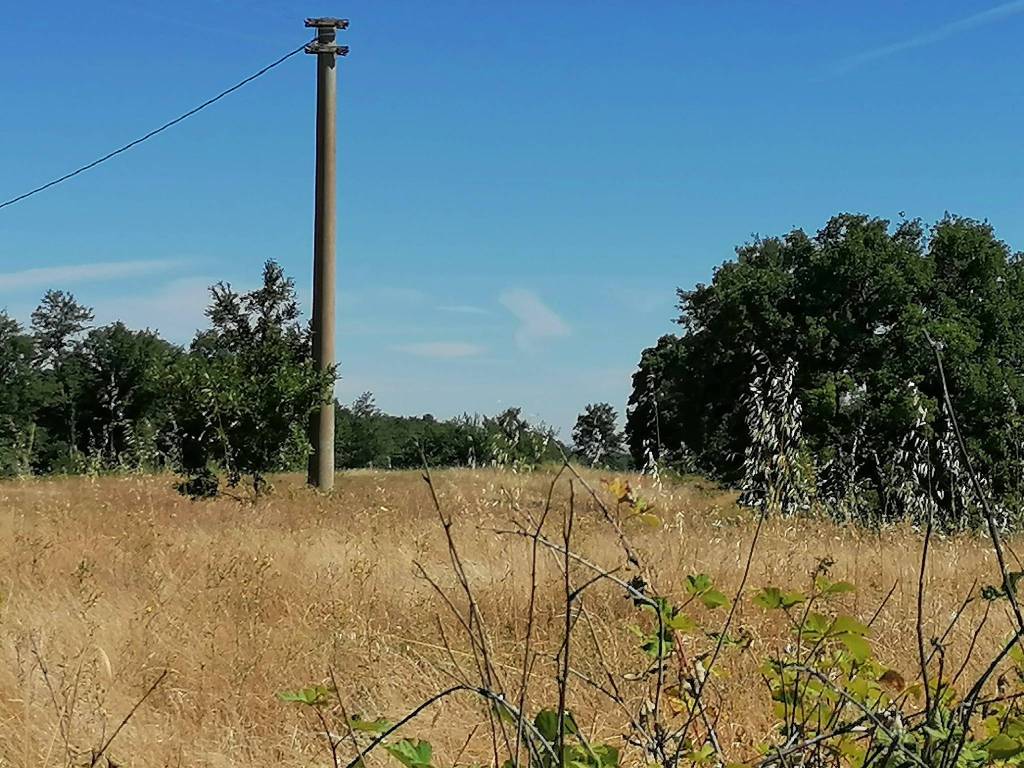Terreno a Sorano in Strada Provinciale Acquapendente - Foto 2