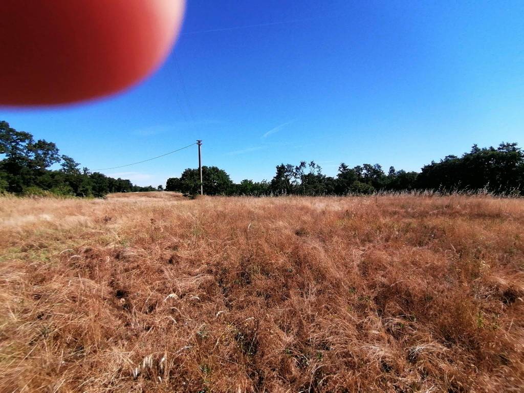 Terreno a Sorano in Strada Provinciale Acquapendente - Foto 3