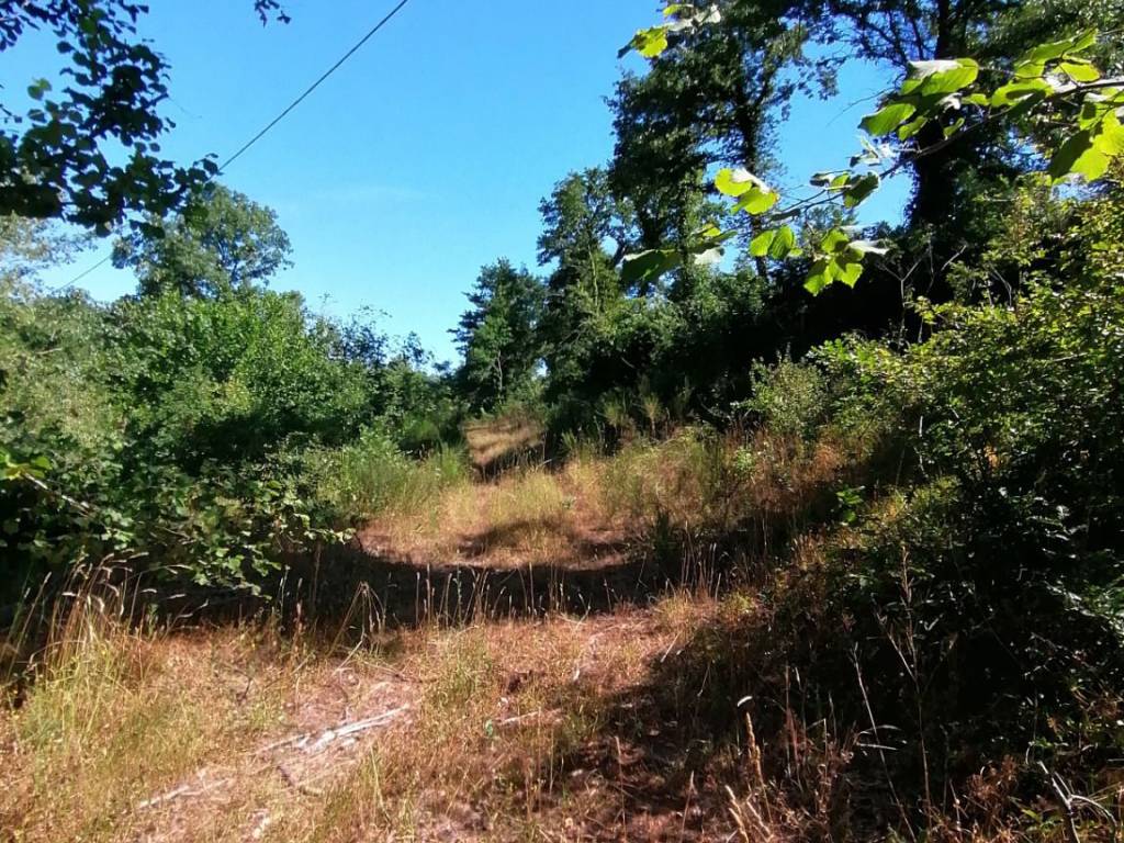 Terreno a Sorano in Strada Provinciale Acquapendente - Foto 5