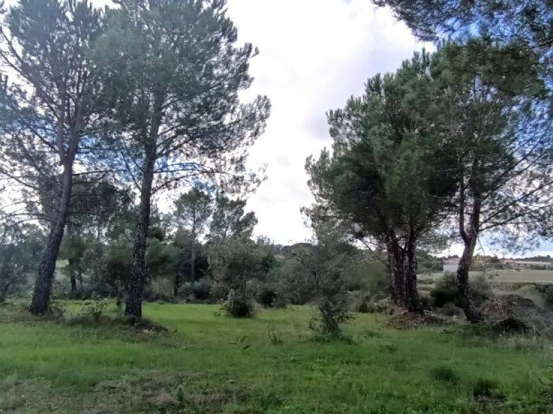 Villa a Noto in Via Soldato Gallo, 46 - Foto 3