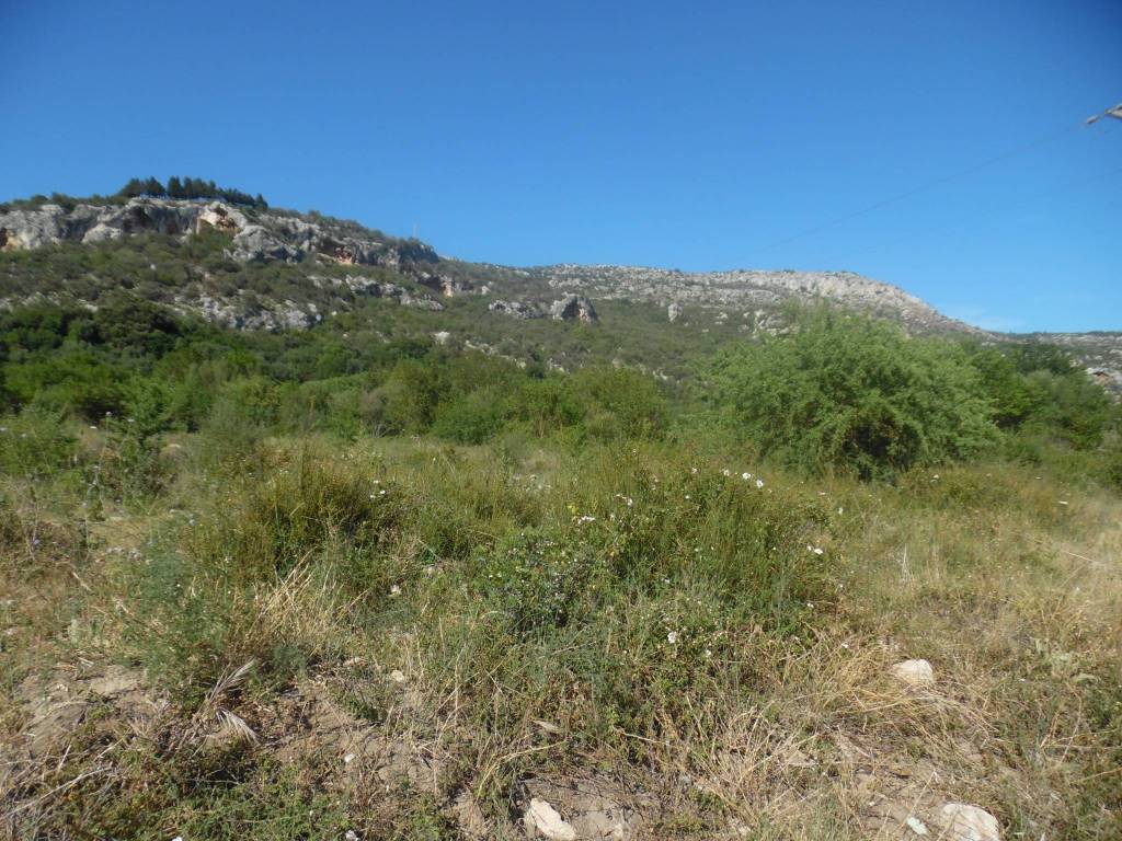 Terreno a Solarino - Foto 4