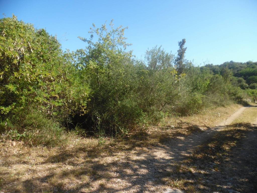 Terreno a Solarino - Foto 5