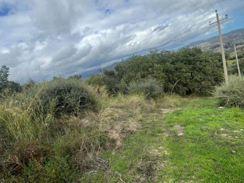Terreno a Roccella ionica in località Sant'Onofrio - Foto 3